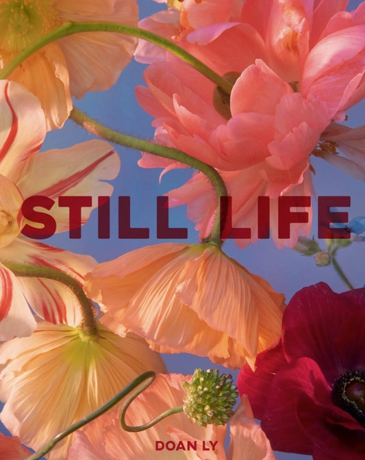 Still Life Coffee Table Book