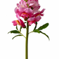 Orchid Snapdragon