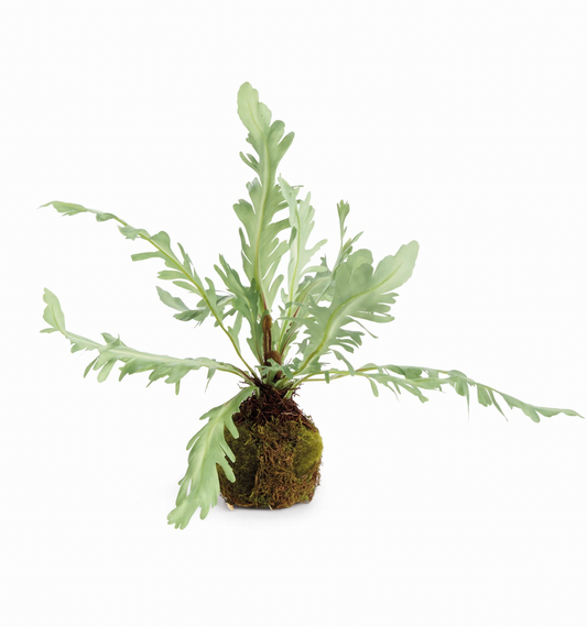 9" Rabbit Foot Drop-In