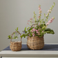 Briarwood Basket