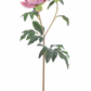 27" Dusty Lavender Peony