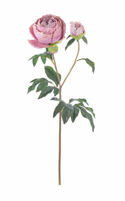 27" Dusty Lavender Peony
