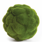 Mood Moss Orb