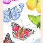 CC Butterfly Playing Cards with Acrylic Case
