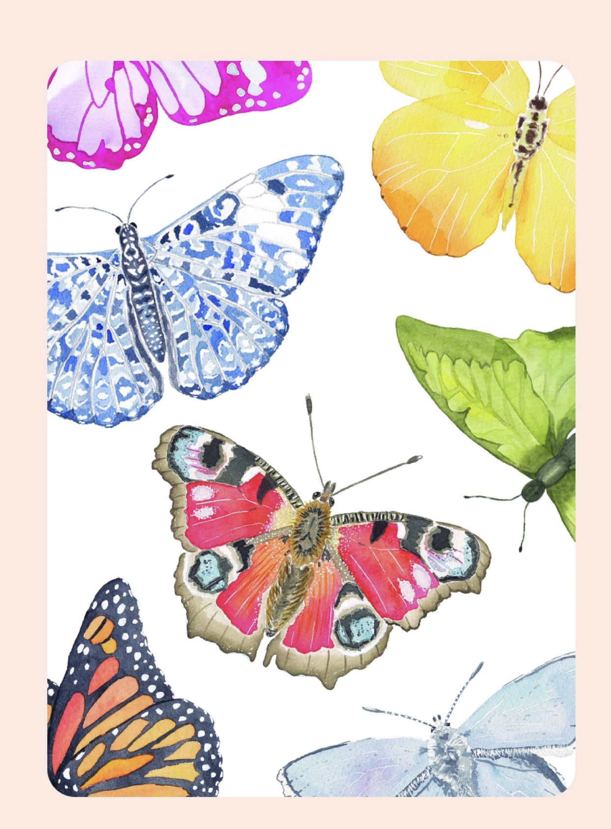 CC Butterfly Playing Cards with Acrylic Case