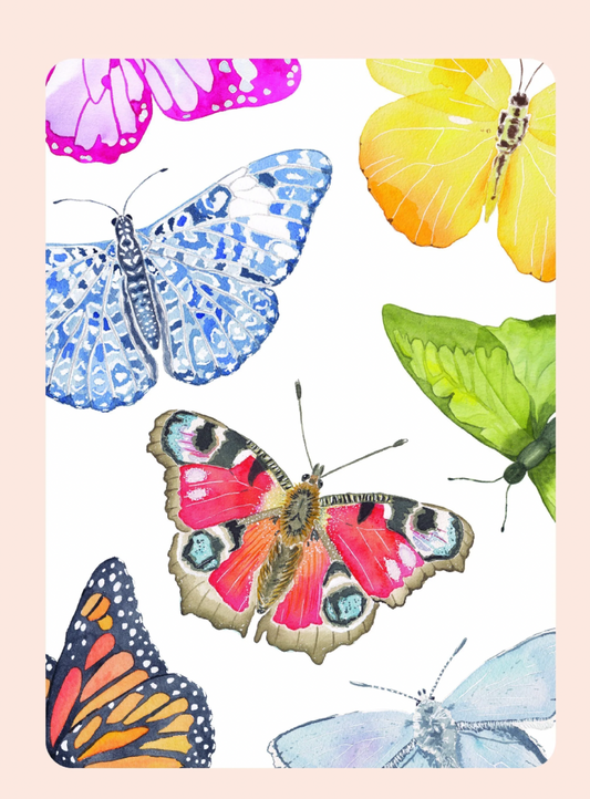 CC Butterfly Playing Cards with Acrylic Case