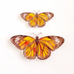 CC Monarch Acrylic Butterfly