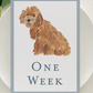 CC Baby Milestone Cards