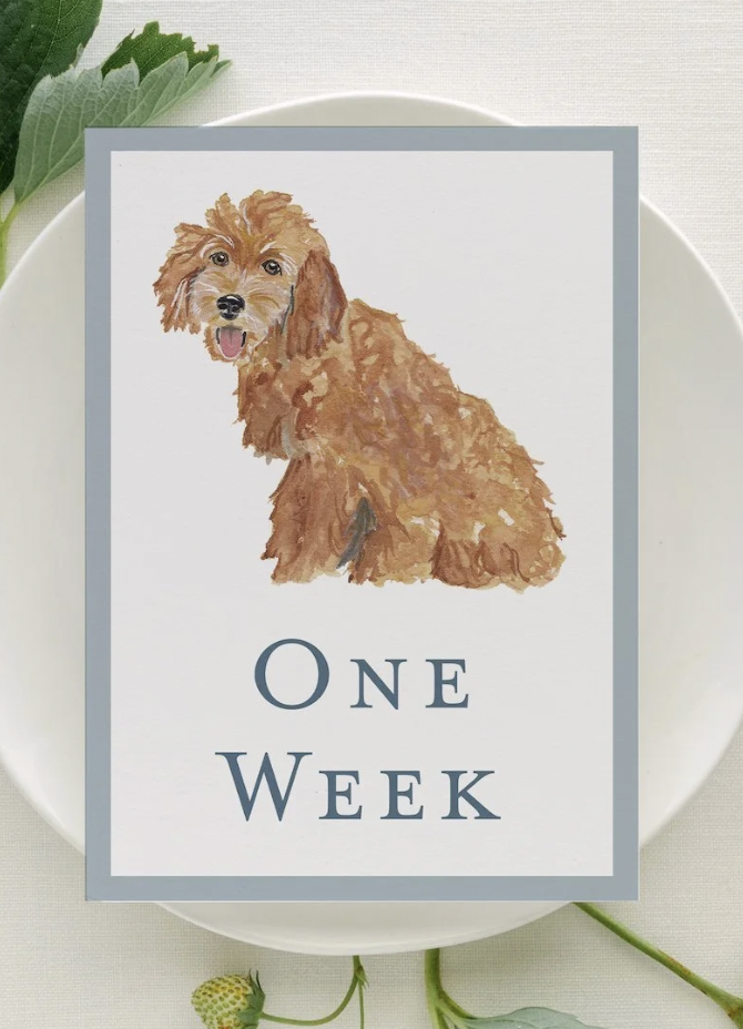 CC Baby Milestone Cards
