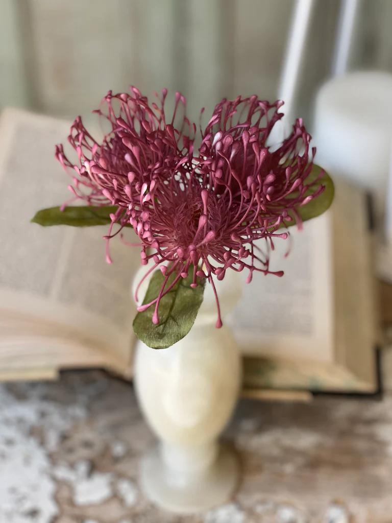 12" Pincushion Proteas