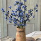 Blue Saratoga Florets Bush
