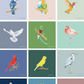 CC 2027 Bird Calender