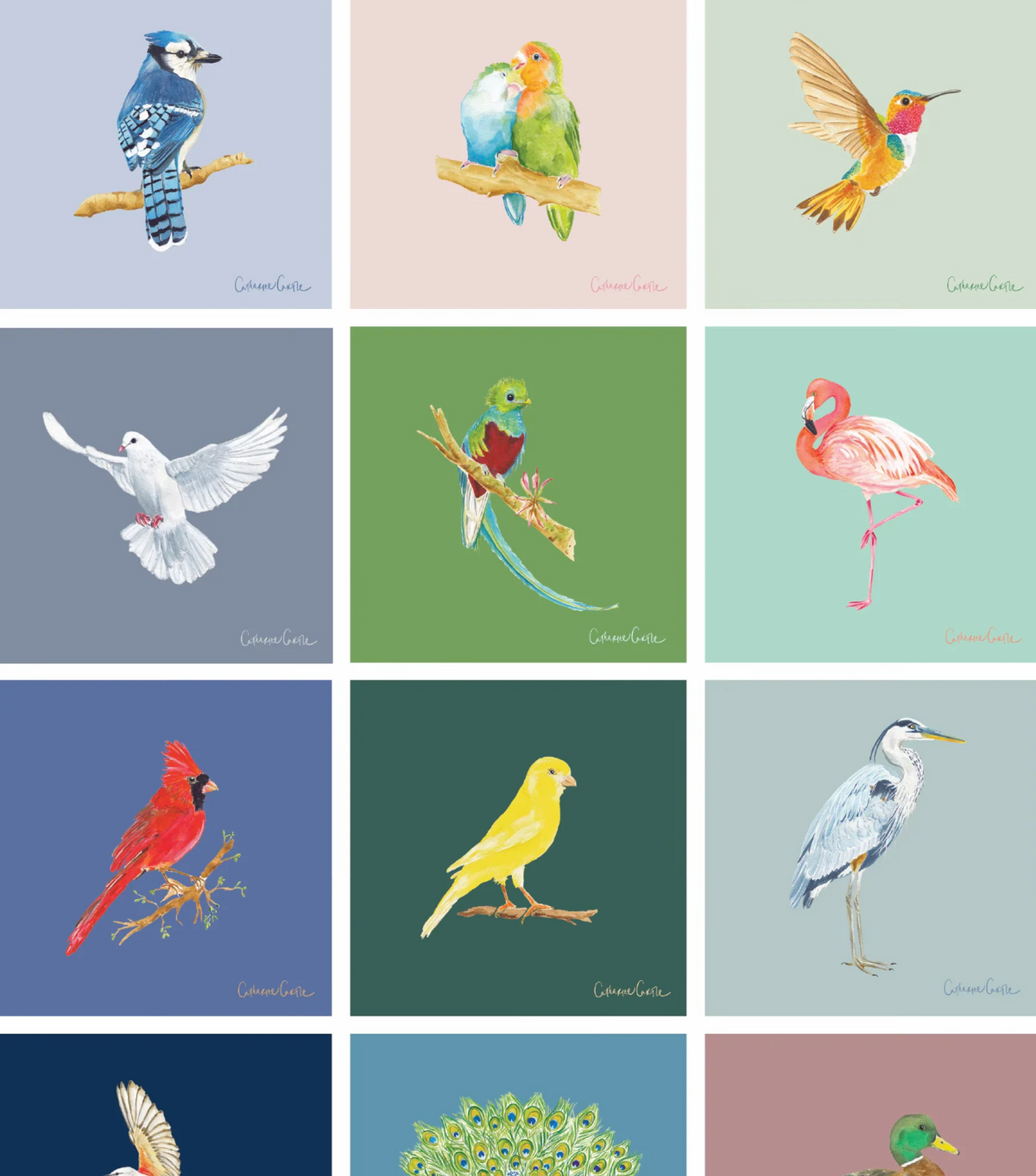 CC 2027 Bird Calender