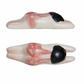 Floating Swimming Women