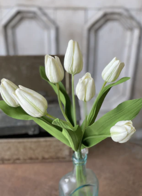14.5" Tulip Time White