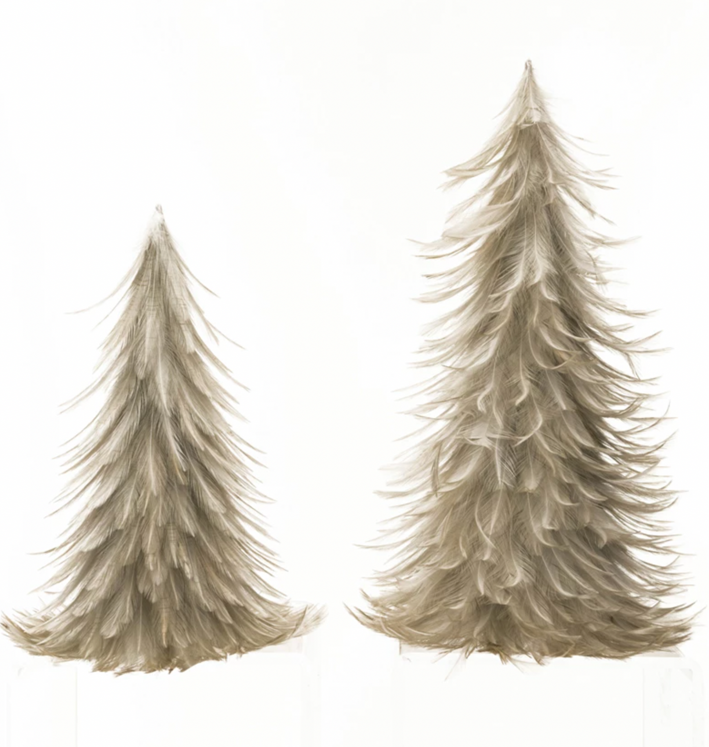 S/2 Grey Feather Trees